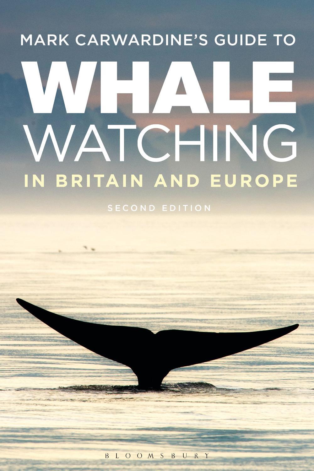 Mark Carwardine's Guide To Whale Watching In Britain And Europe, 9781472979339