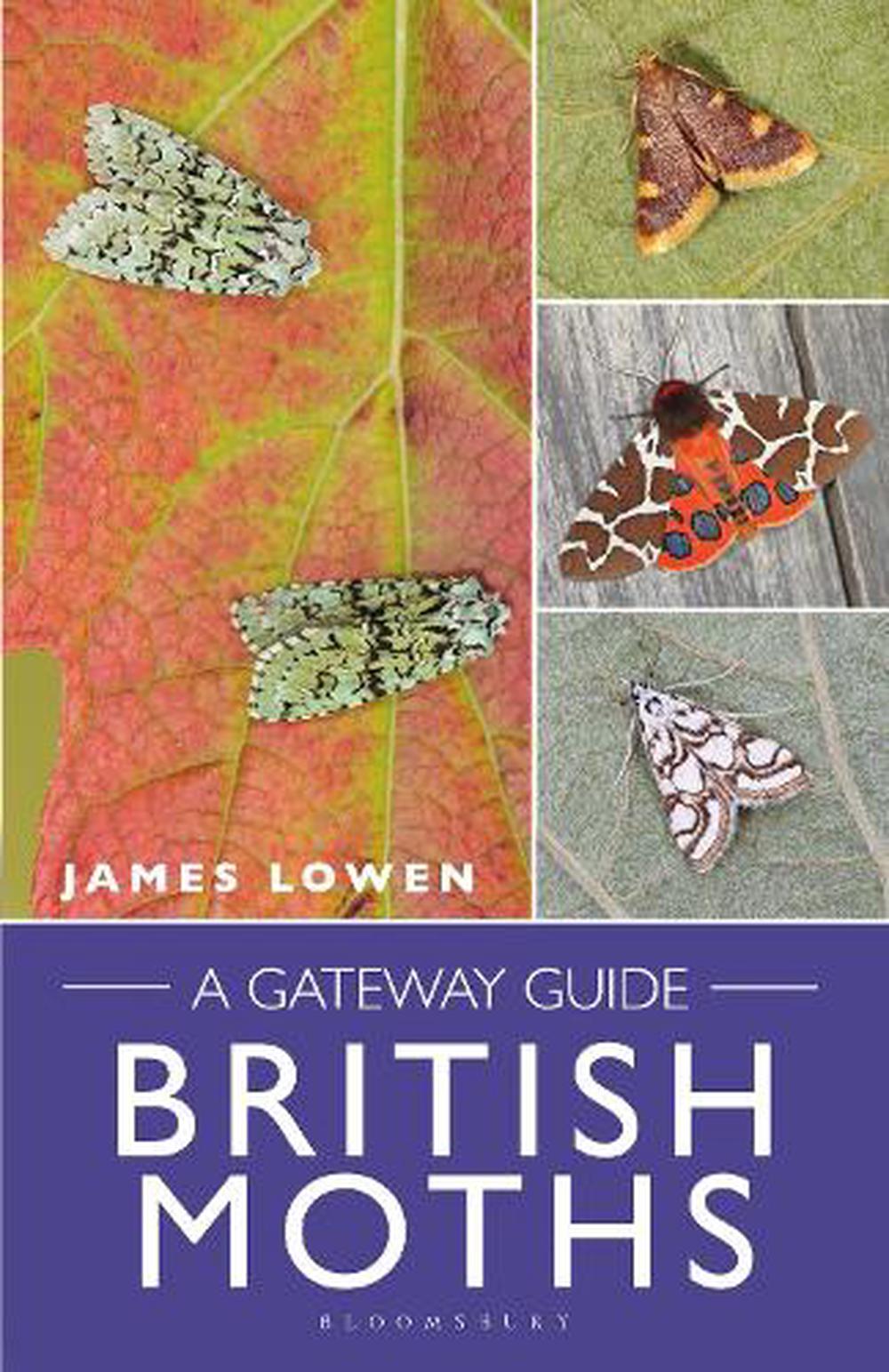 British Moths, 9781472987389
