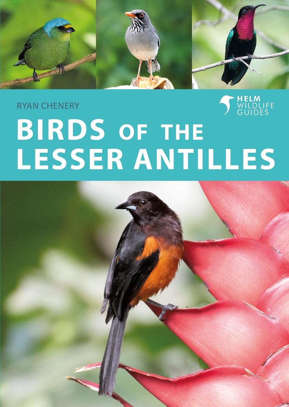 Birds of the Lesser Antilles, 9781472989611