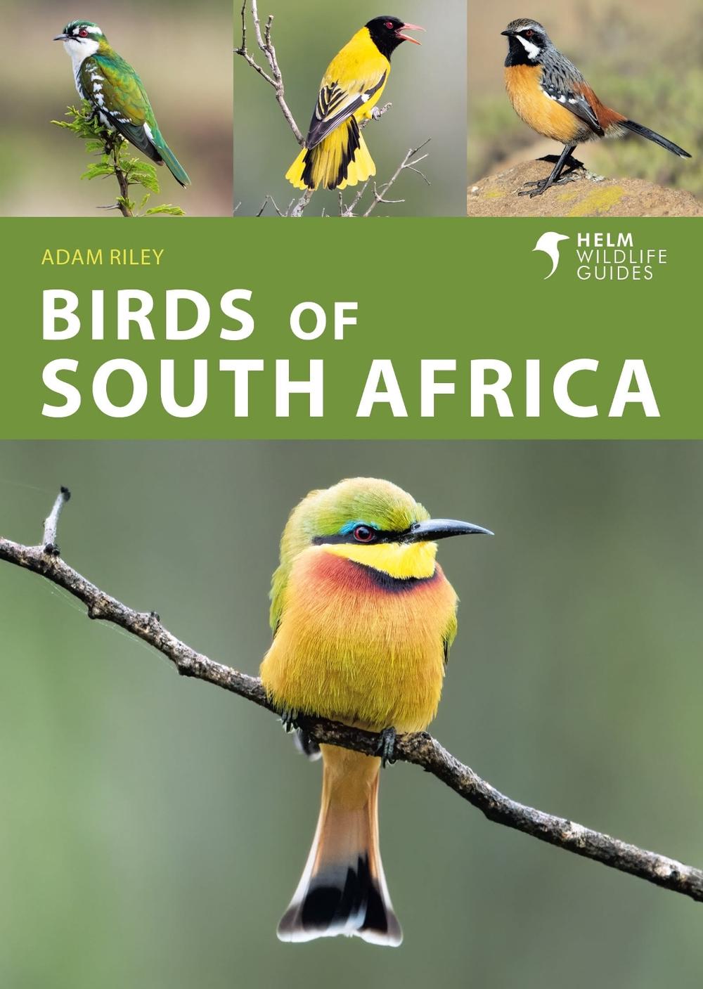 Birds of South Africa, 9781472990808