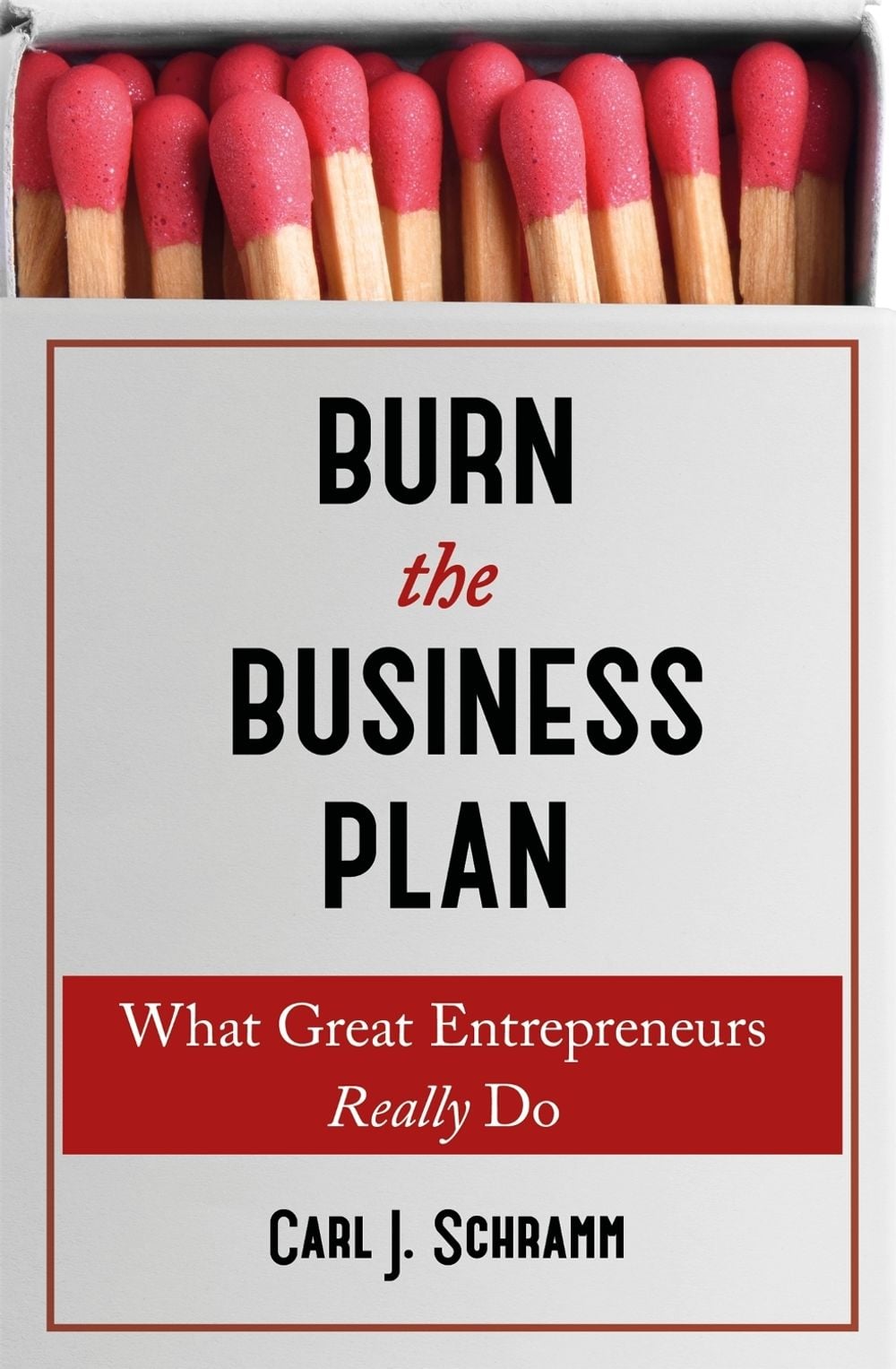 Burn The Business Plan by Carl J. Schramm - ISBN: 9781473606913