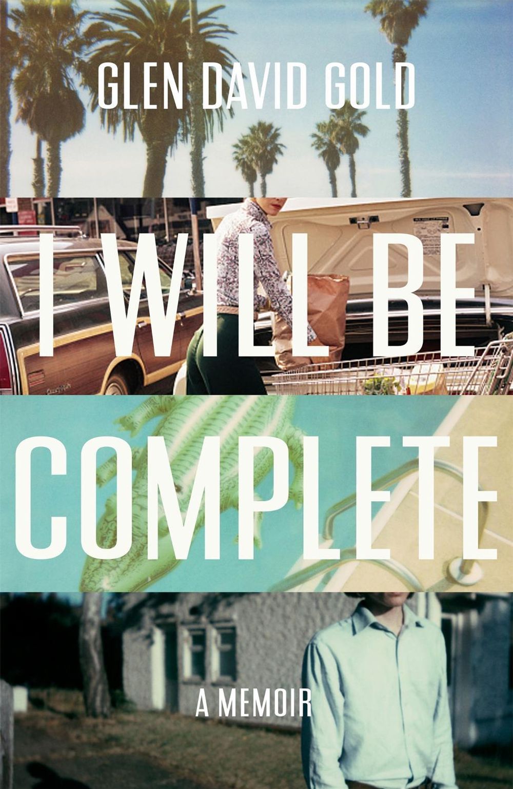 I Will Be Complete by Glen David Gold - ISBN: 9781473620162