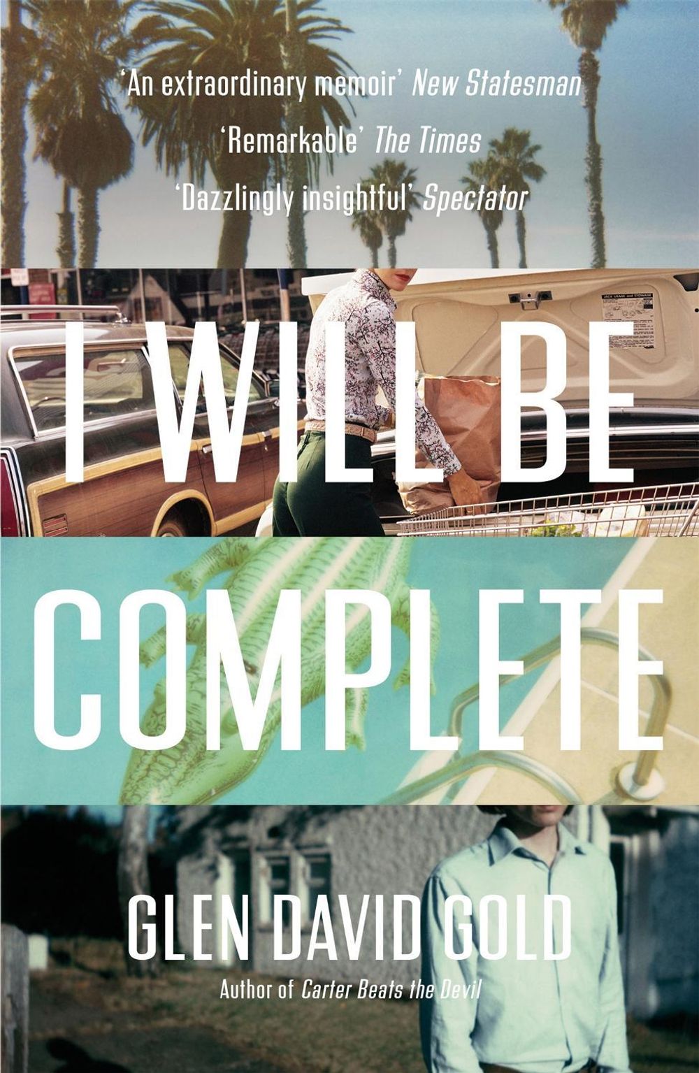I Will Be Complete by Glen David Gold - ISBN: 9781473620186