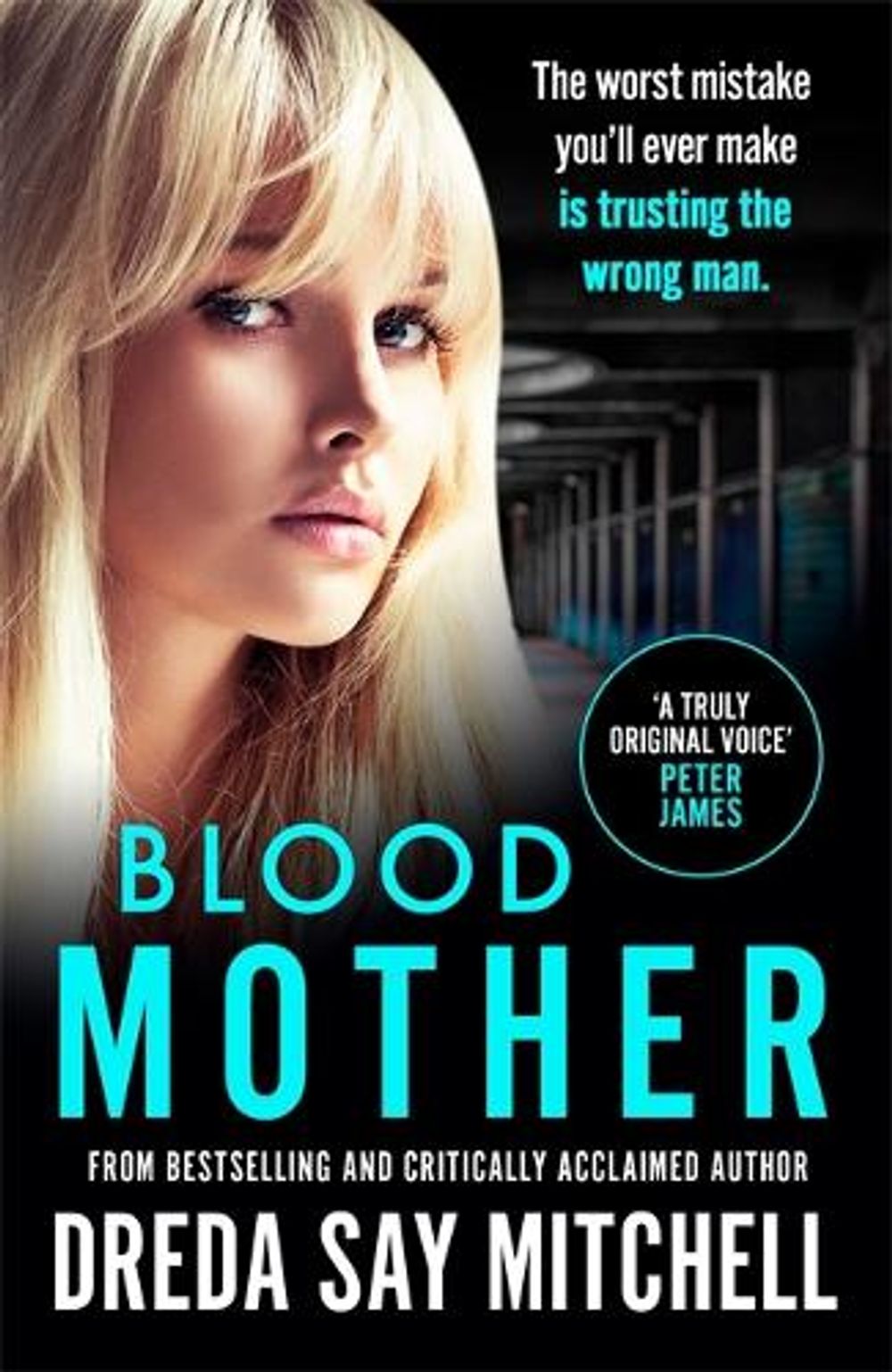 Blood Mother by Dreda Say Mitchell - ISBN: 9781473625693