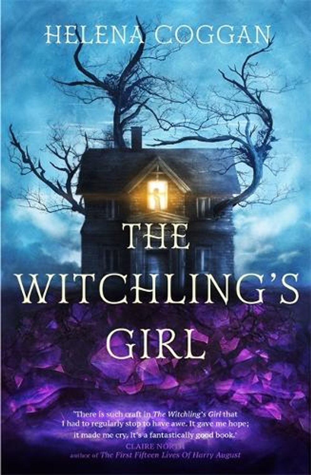 The Witchling's Girl by Helena Coggan - ISBN: 9781473629455