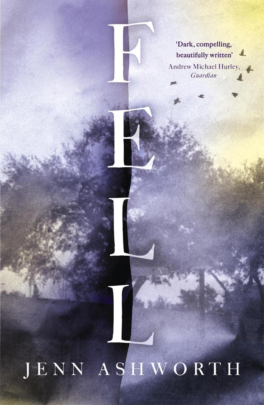 Fell by Jenn Ashworth - ISBN: 9781473630628