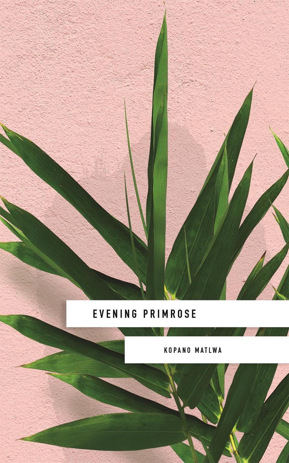 Evening Primrose: a heart-wrenching novel for our times by Kopano Matlwa - ISBN: 9781473662285