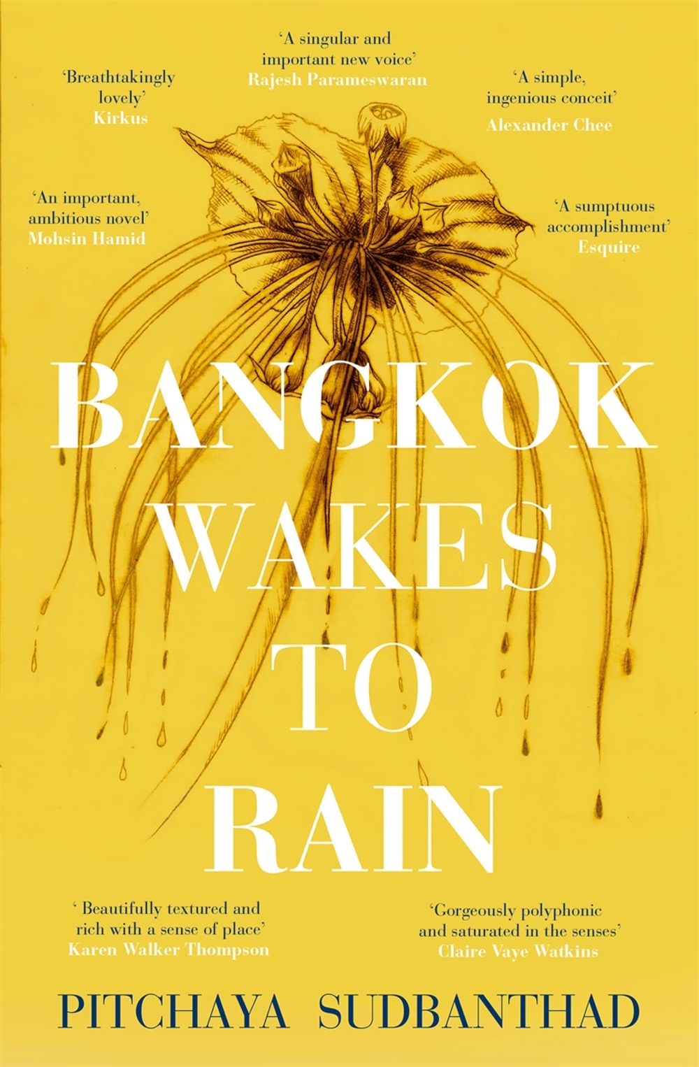 Bangkok Wakes to Rain by Pitchaya Sudbanthad - ISBN: 9781473677241