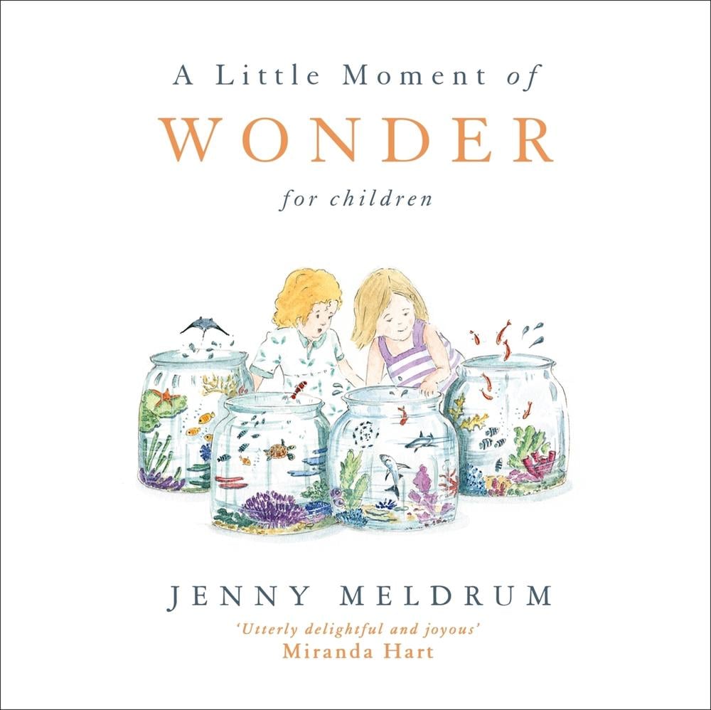 A Little Moment of Wonder for Children by Jenny Meldrum - ISBN: 9781473691735