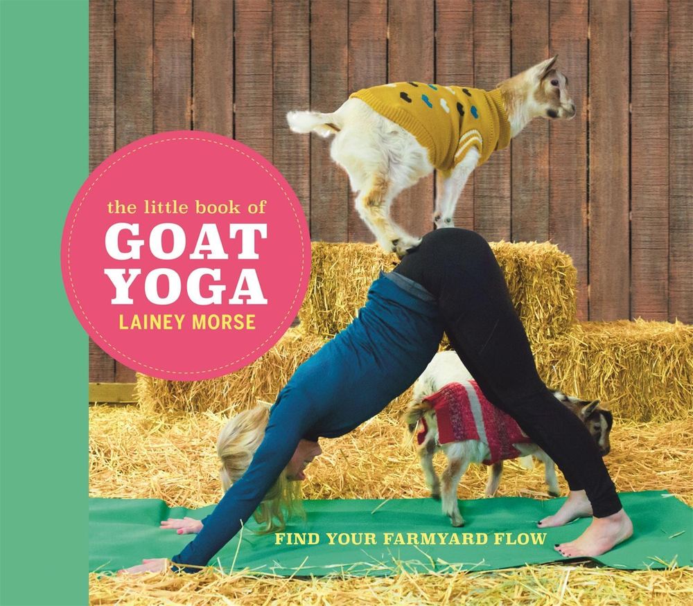The Little Book of Goat Yoga by Lainey Morse - ISBN: 9781473698499