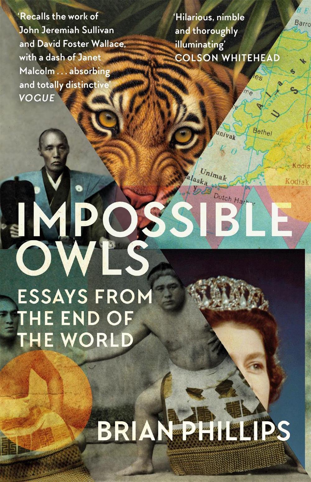 Impossible Owls by Brian Phillips - ISBN: 9781474607841