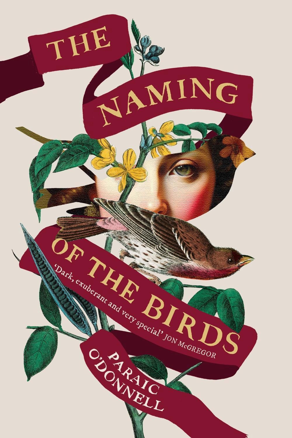 The Naming of the Birds by Paraic O'Donnell - ISBN: 9781474614887