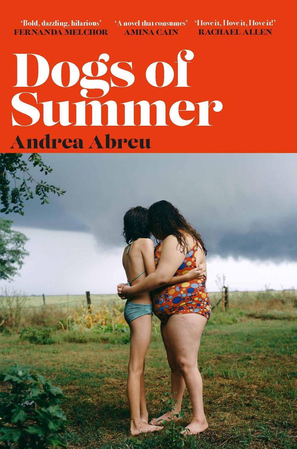 Dogs of Summer by Andrea Abreu - ISBN: 9781474624084