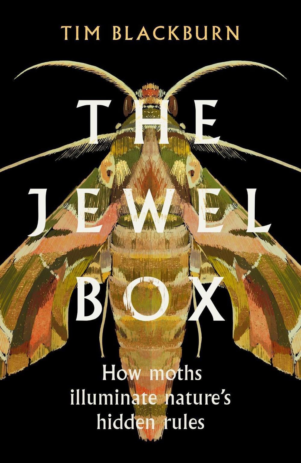 The Jewel Box by Tim Blackburn - ISBN: 9781474624534