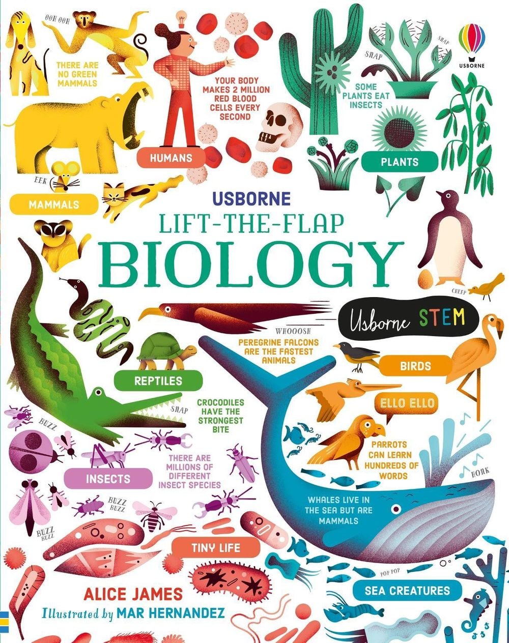 Lift-the-Flap Biology by Alice James - ISBN: 9781474969154