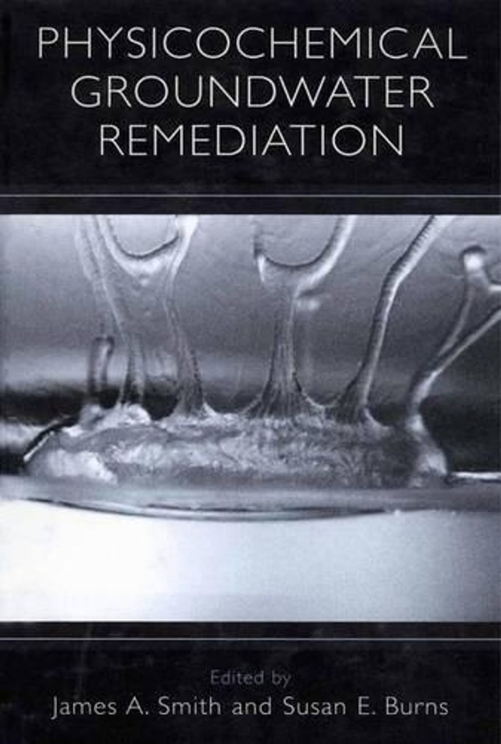 Physicochemical Groundwater Remediation, 01200th Edition by James A. Smith - ISBN: 9781475787665