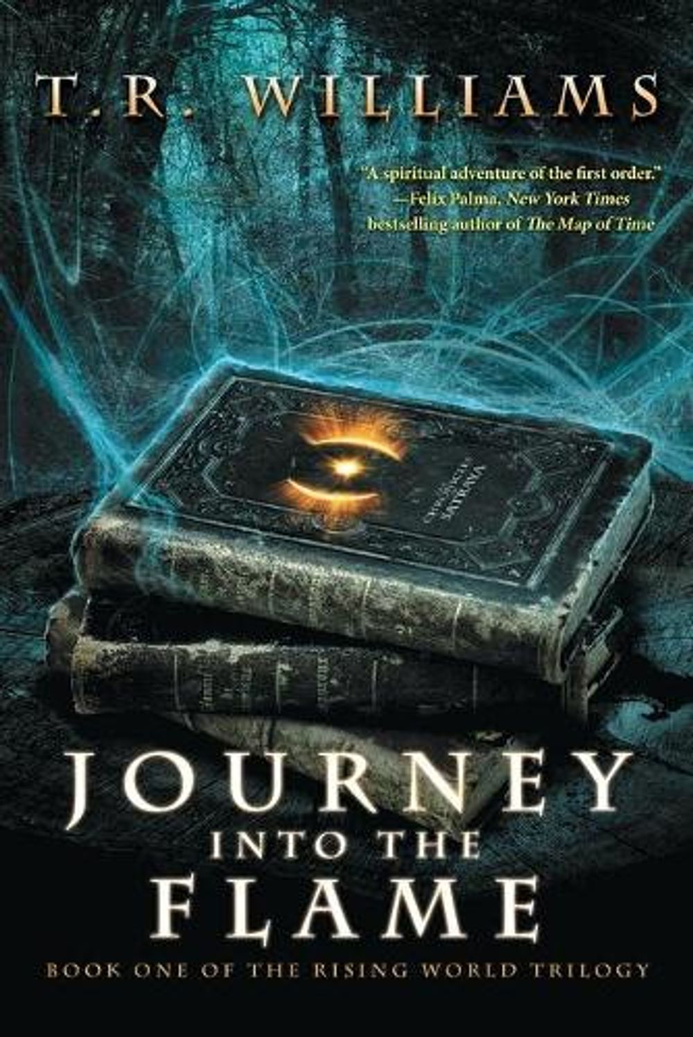 Journey Into the Flame: Book One of the by T.R. Williams - ISBN: 9781476713366