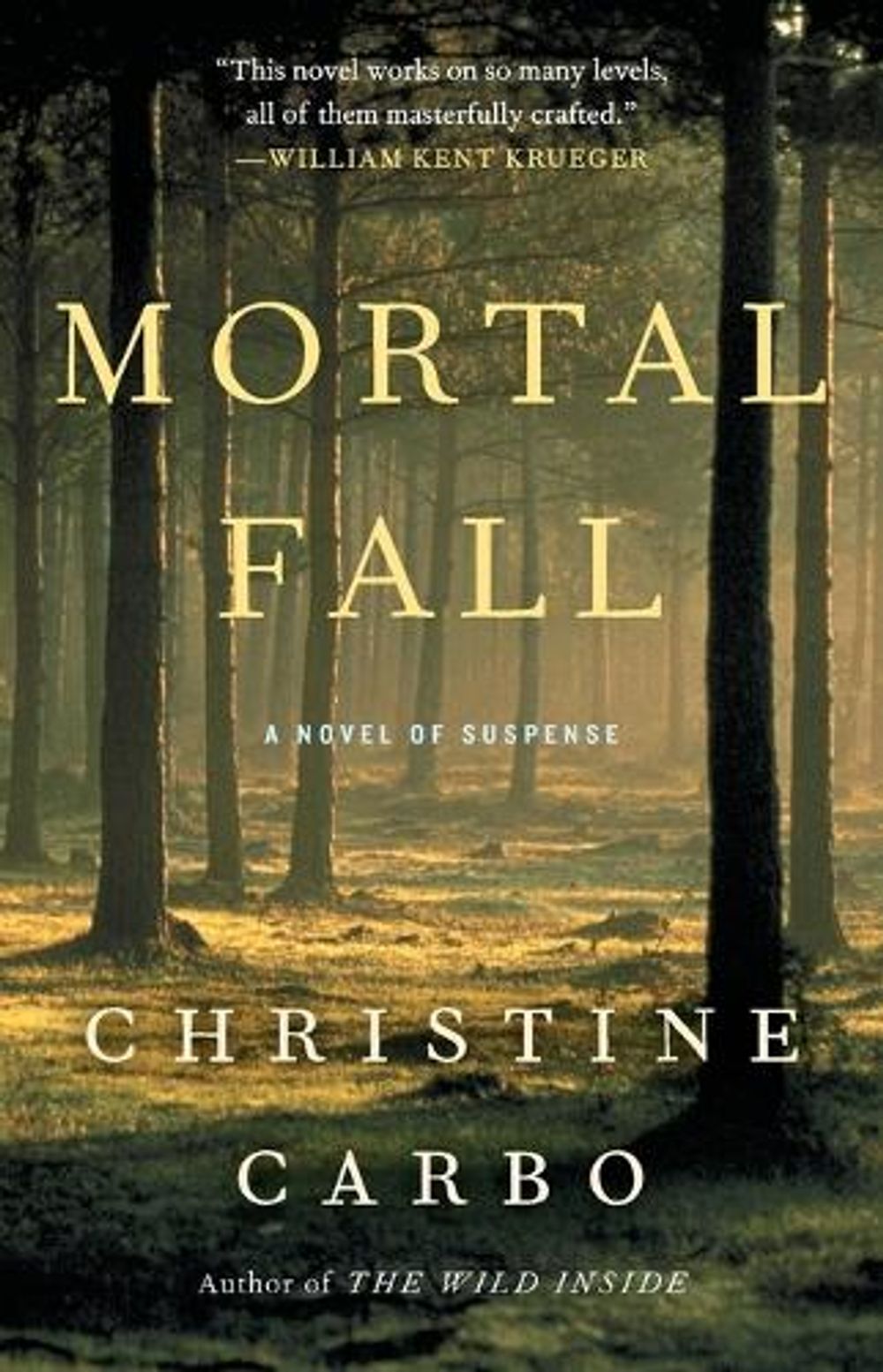Mortal Fall by Christine Carbo - ISBN: 9781476775470