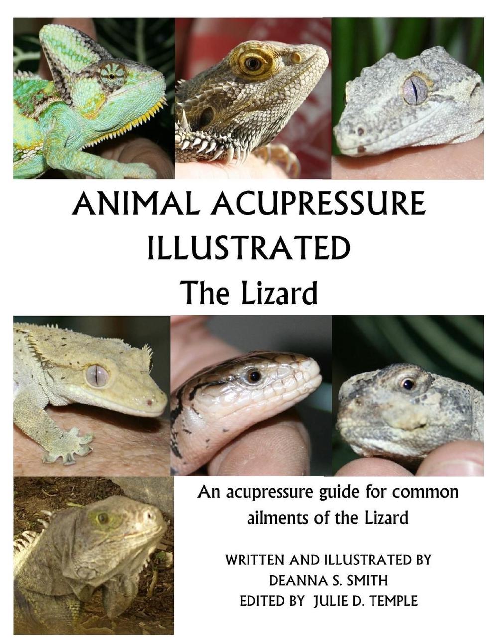 Animal Acupressure Illustrated The Lizard, 9781477586310