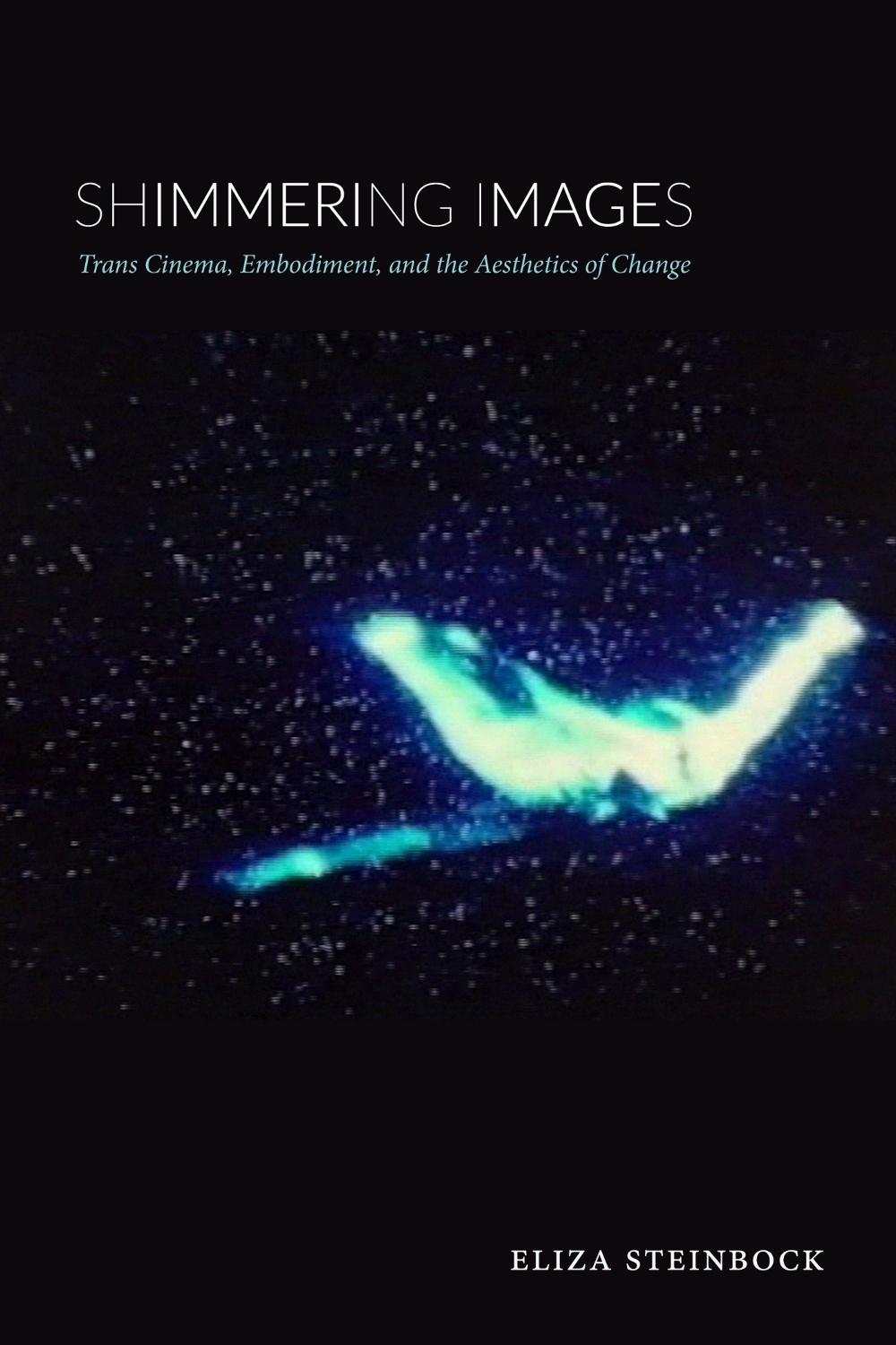 Shimmering Images by Eliza Steinbock - ISBN: 9781478003885
