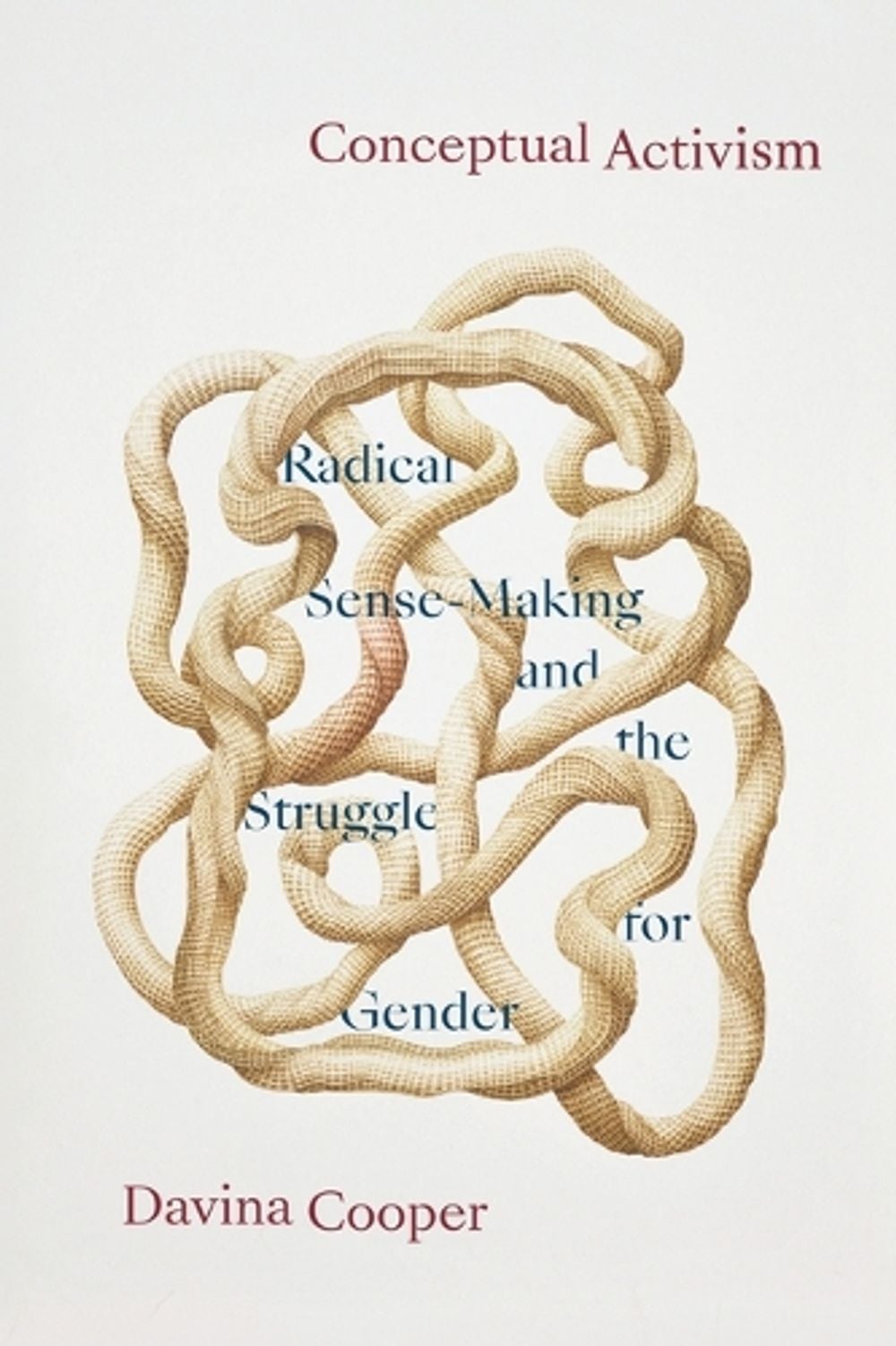 Conceptual Activism by Davina Cooper - ISBN: 9781478039280