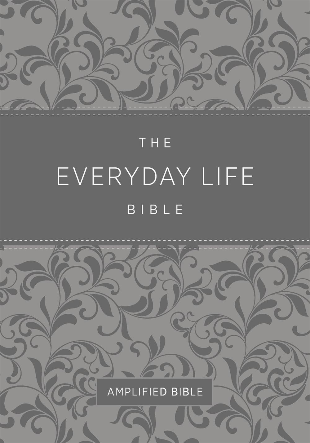 Everyday Life Bible (Fashion Edition: Gray Imitation Leather), 9781478922988
