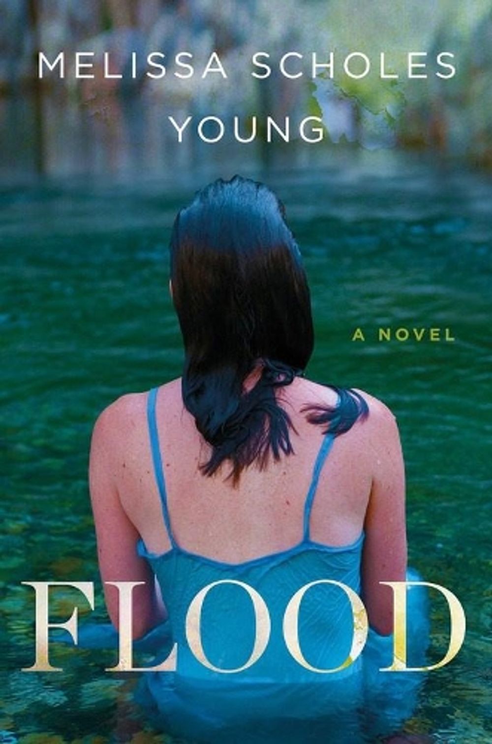 Flood: A Novel by Melissa Scholes Young - ISBN: 9781478970774