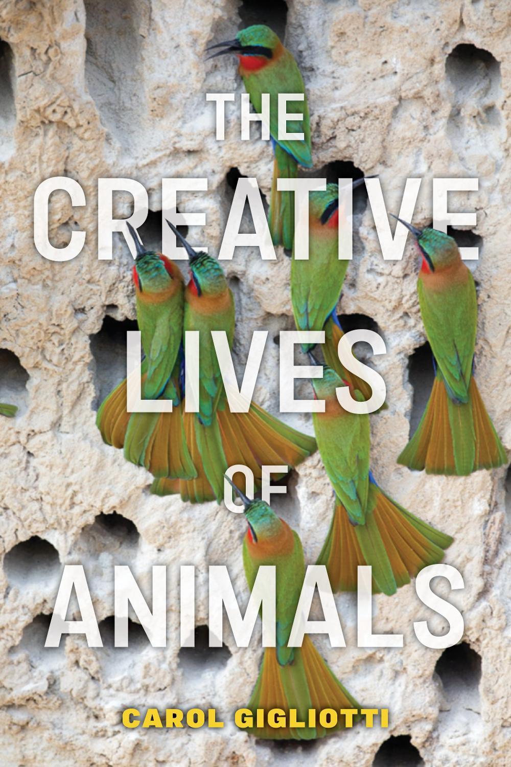 The Creative Lives of Animals, 9781479815449