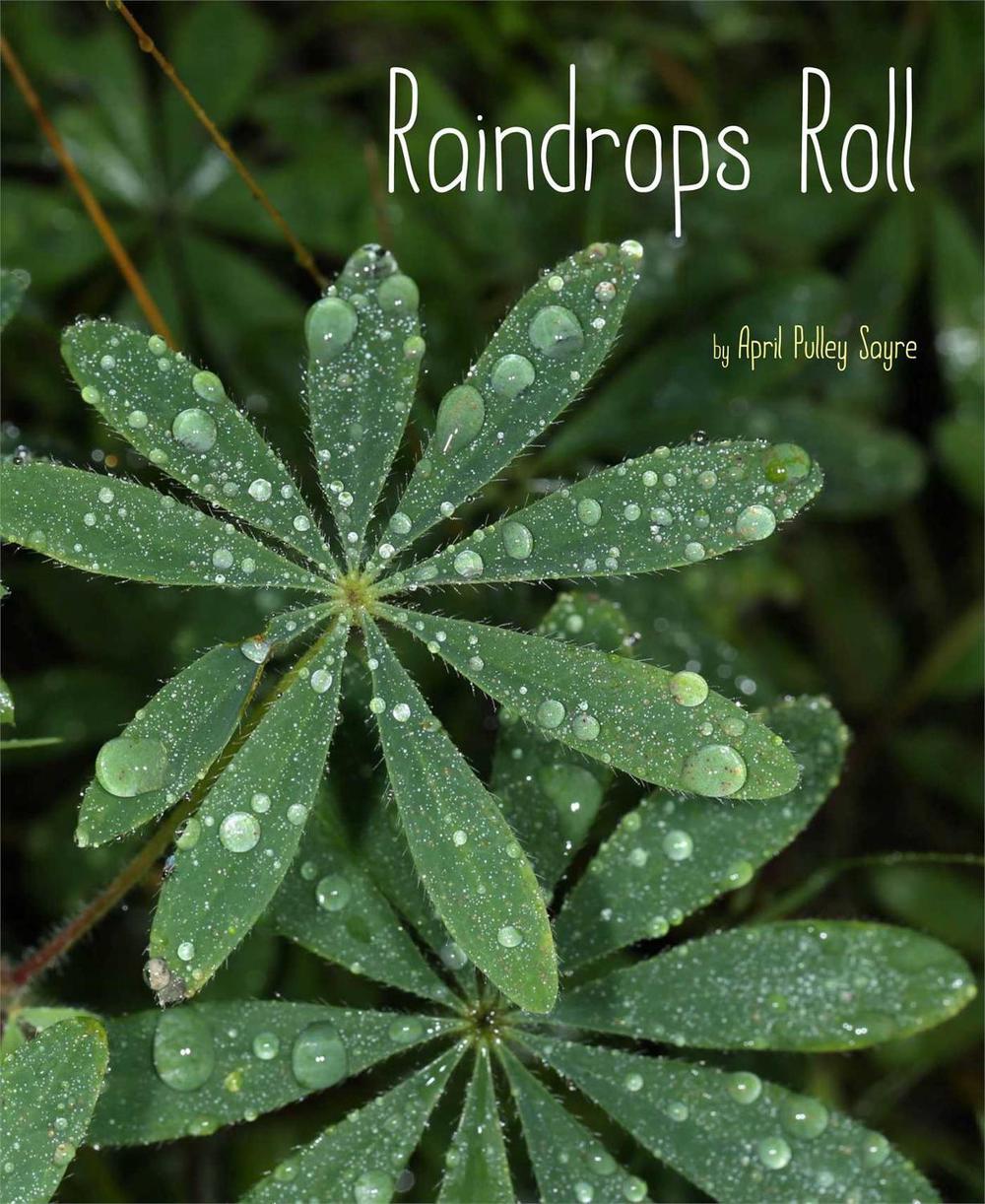 Raindrops Roll by April Pulley Sayre - ISBN: 9781481420648