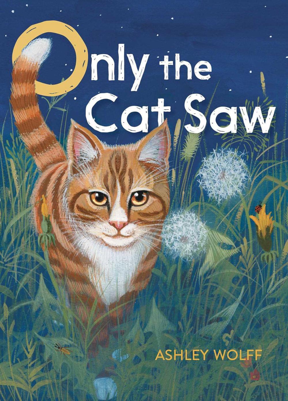 Only the Cat Saw by Ashley Wolff - ISBN: 9781481466929