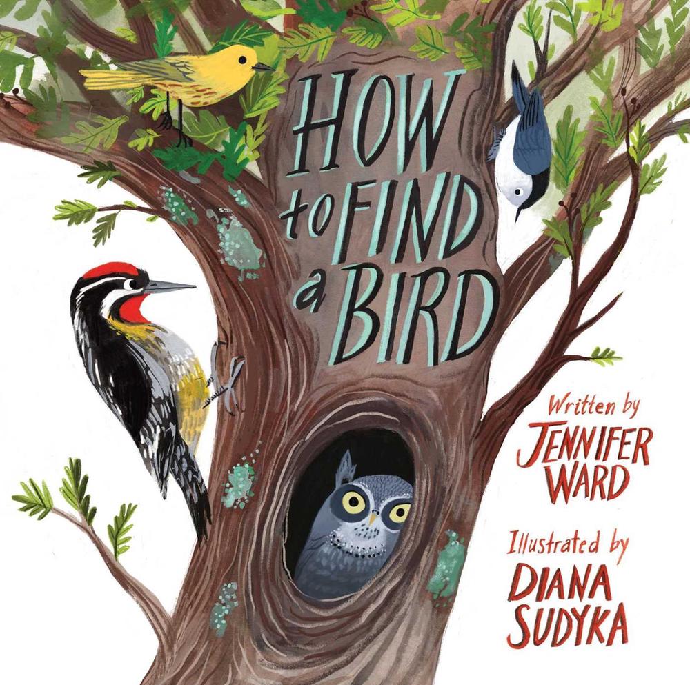 How to Find a Bird by Jennifer Ward - ISBN: 9781481467056