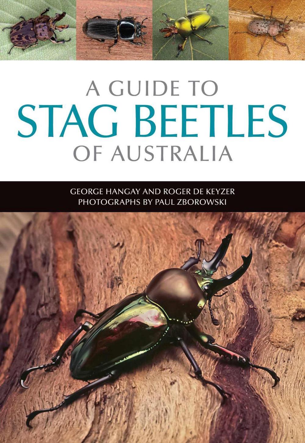 A Guide to Stag Beetles of Australia, 9781486302086