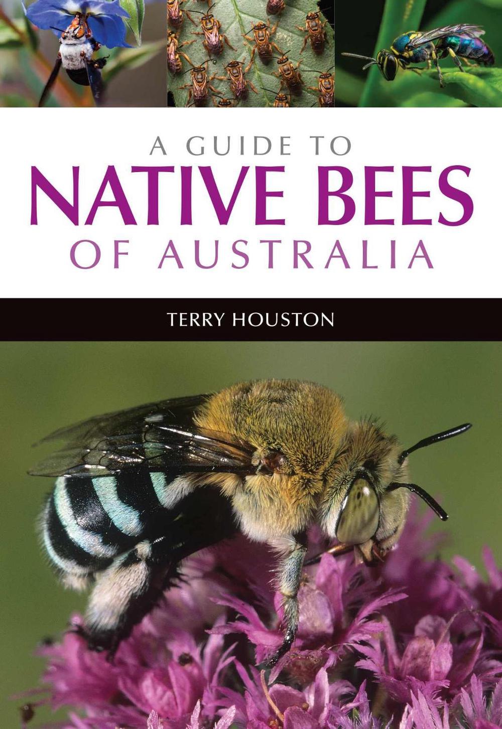 A Guide to Native Bees of Australia, 9781486304066
