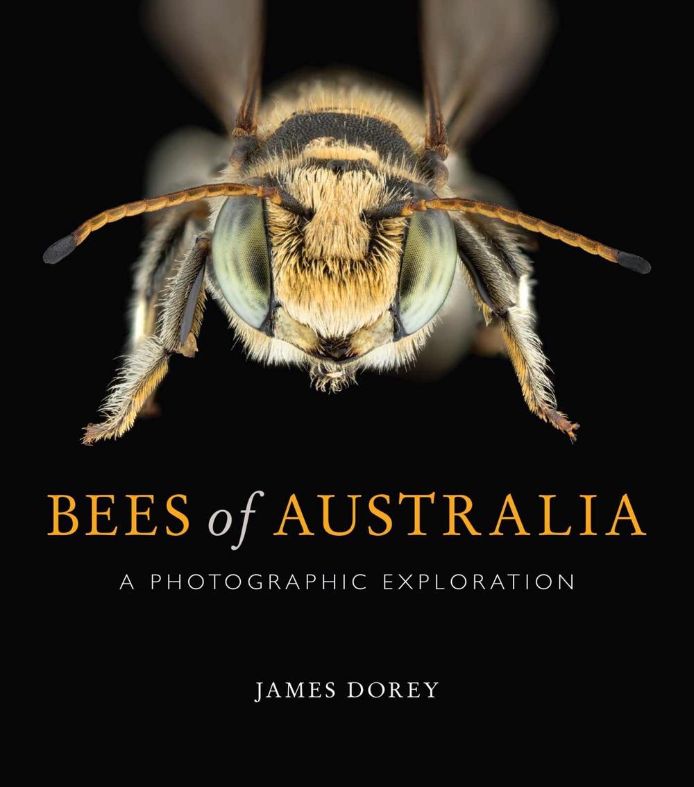 Bees of Australia, 9781486308491