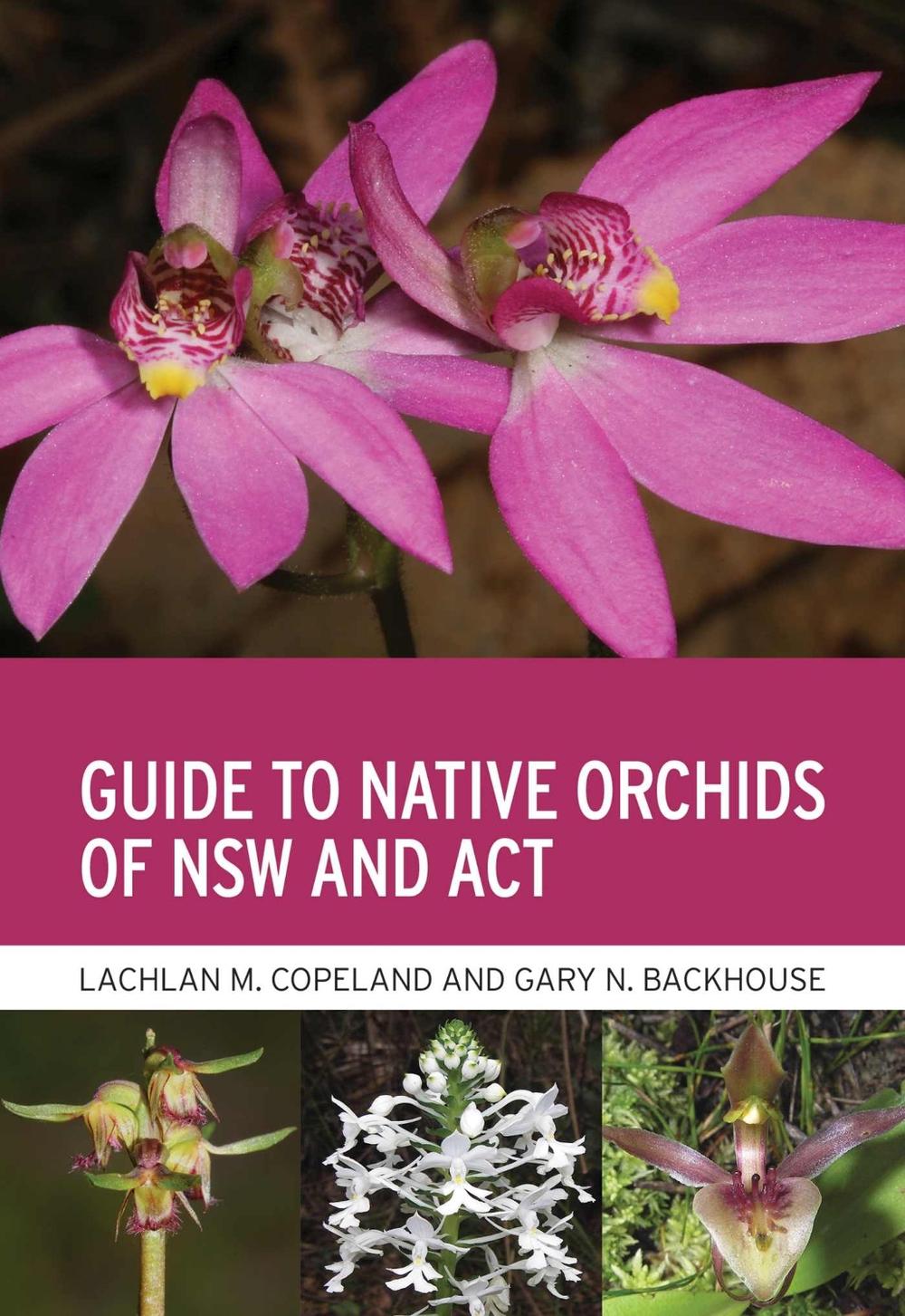 Guide to Native Orchids of NSW and ACT, 9781486313686
