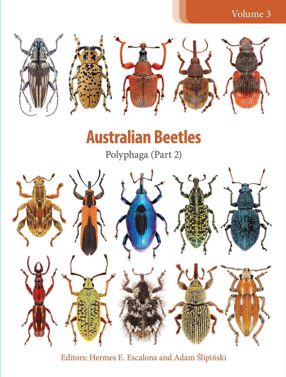 Australian Beetles Volume 3, 9781486314539