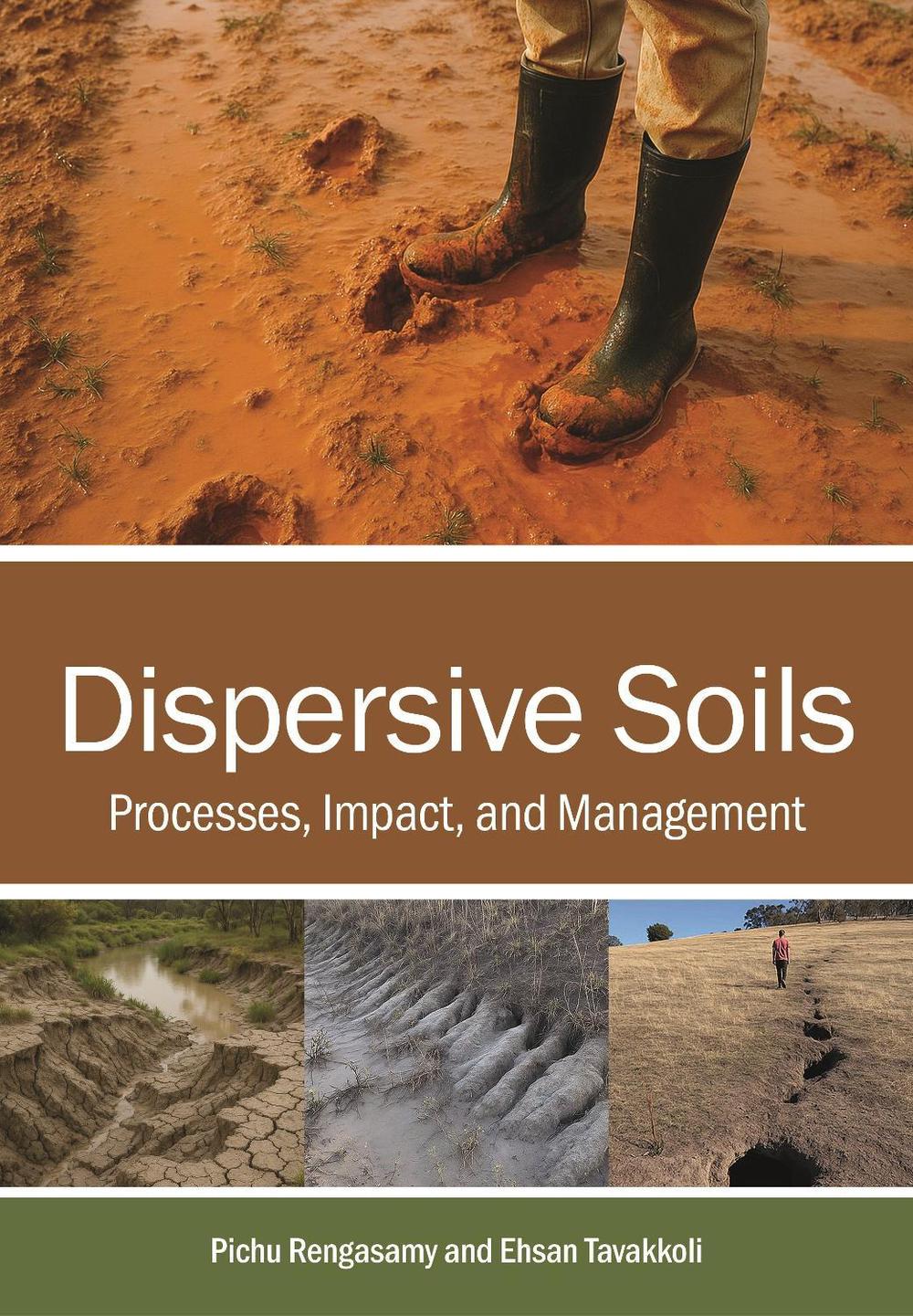 Dispersive Soils by Pichu Rengasamy - ISBN: 9781486319794