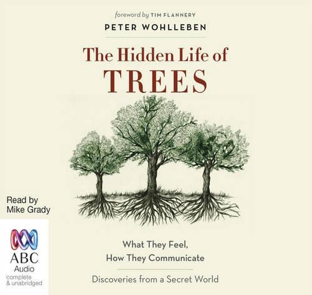 review of the hidden life of trees