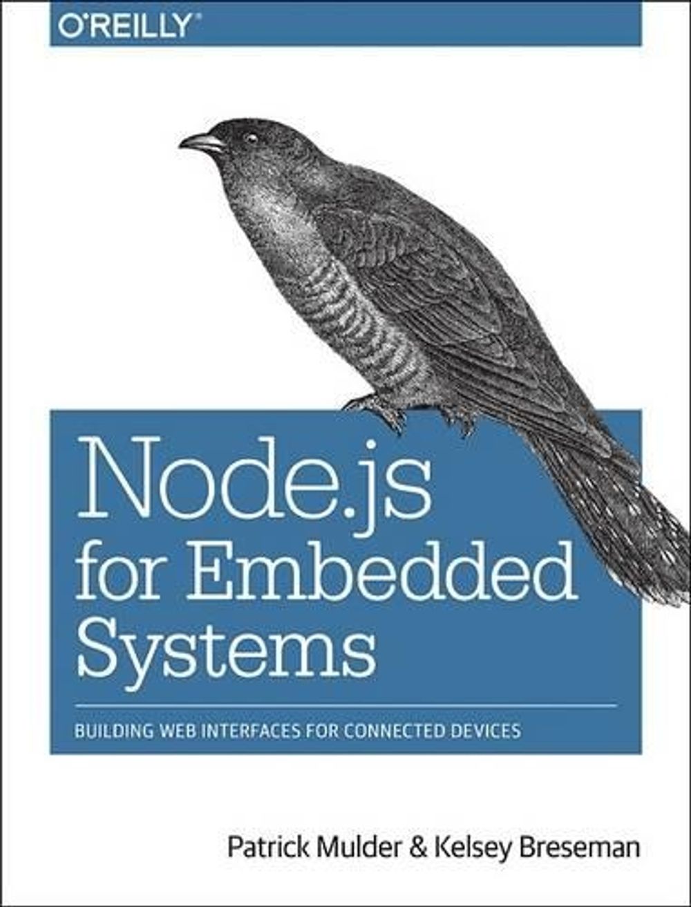 Node.js for Embedded Systems by Patrick Mulder - ISBN: 9781491928998