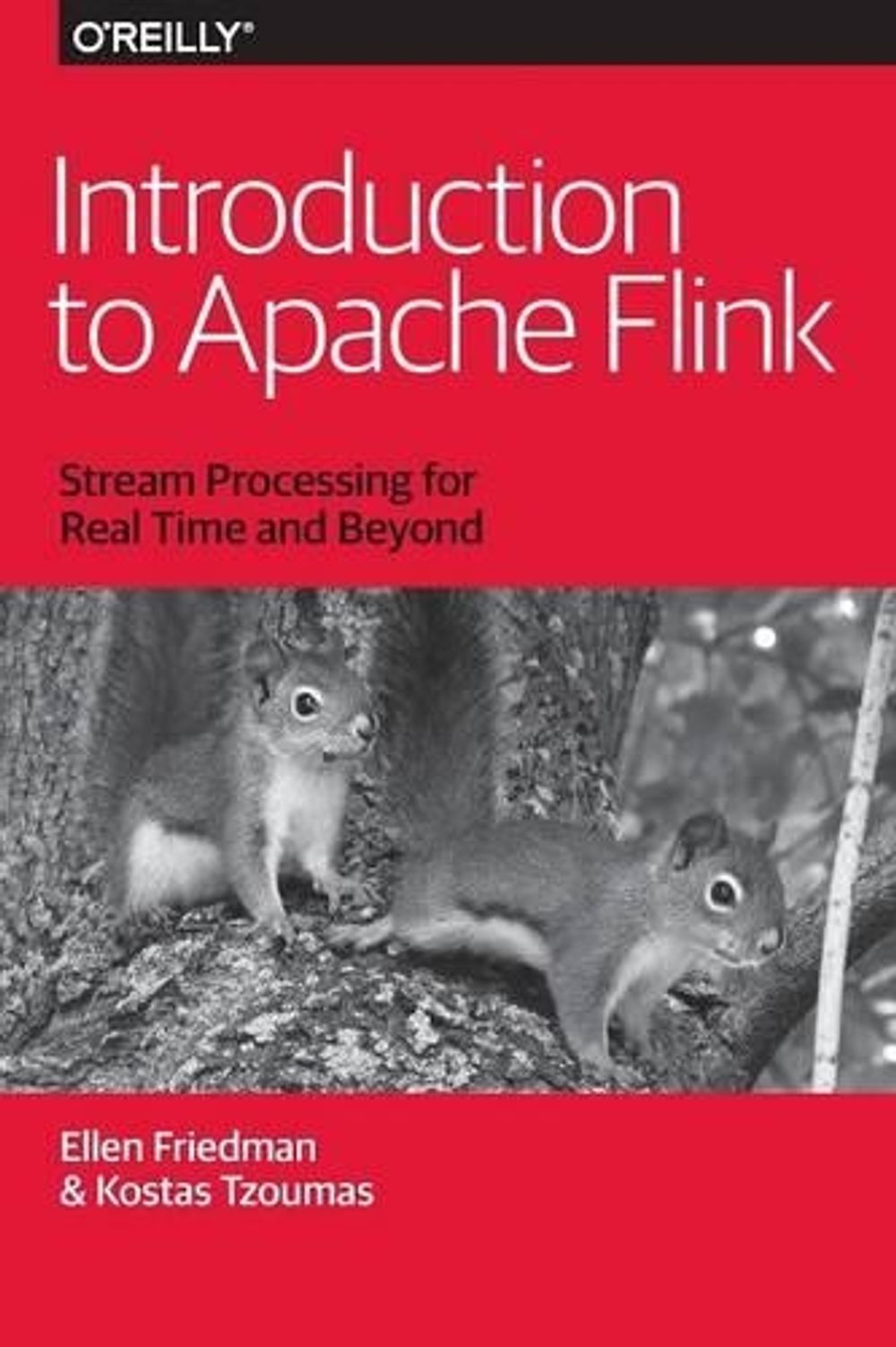 Introduction to Apache Flink by Kostas Tzoumas - ISBN: 9781491976586
