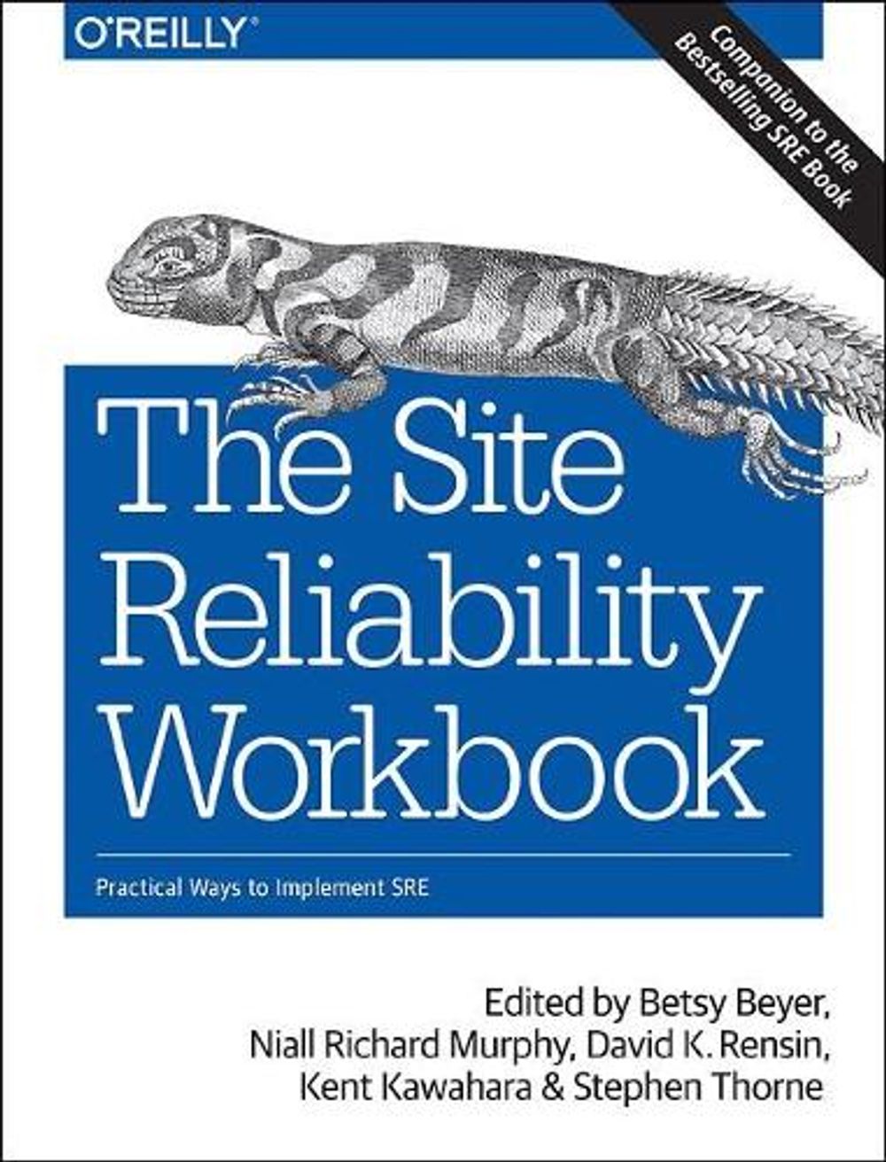 The Site Reliability Workbook by Niall Richard Murphy - ISBN: 9781492029502