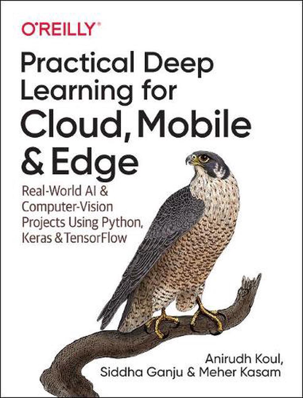 Practical Deep Learning for Cloud and Mobile, 9781492034865
