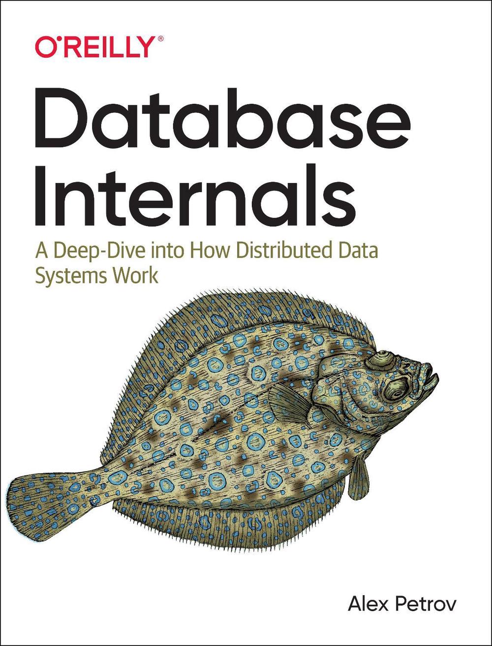 Database Internals by Alex Petrov, Paperback, 9781492040347 | Buy online at  The Nile