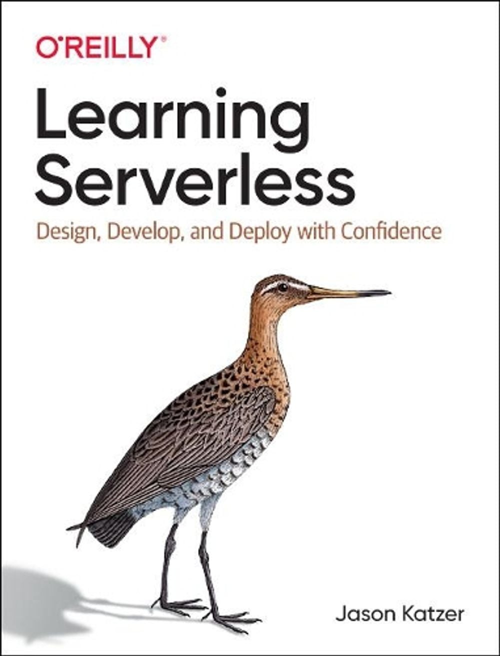 Learning Serverless by Jason Katzer - ISBN: 9781492057017