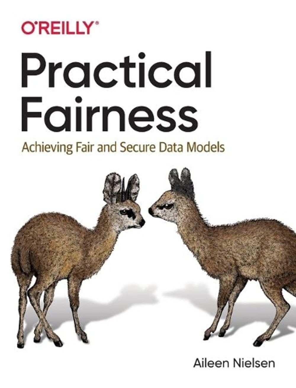 Practical Fairness by Aileen Nielsen - ISBN: 9781492075738