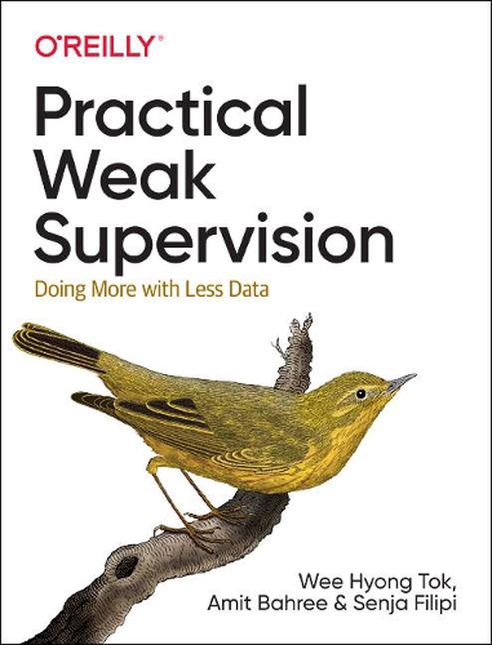 Practical Weak Supervision, 9781492077060