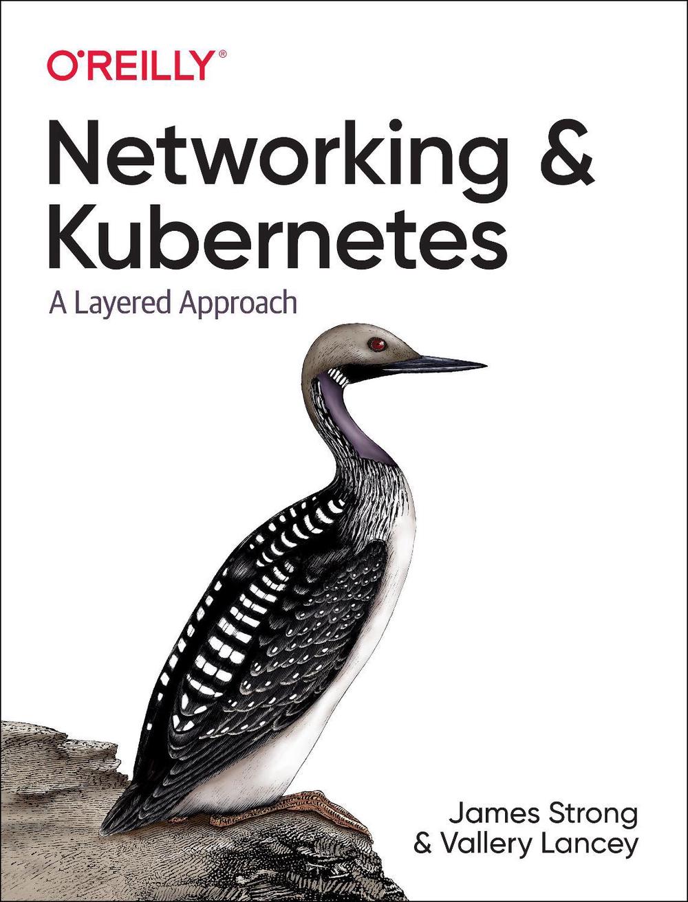 Networking and Kubernetes, 9781492081654