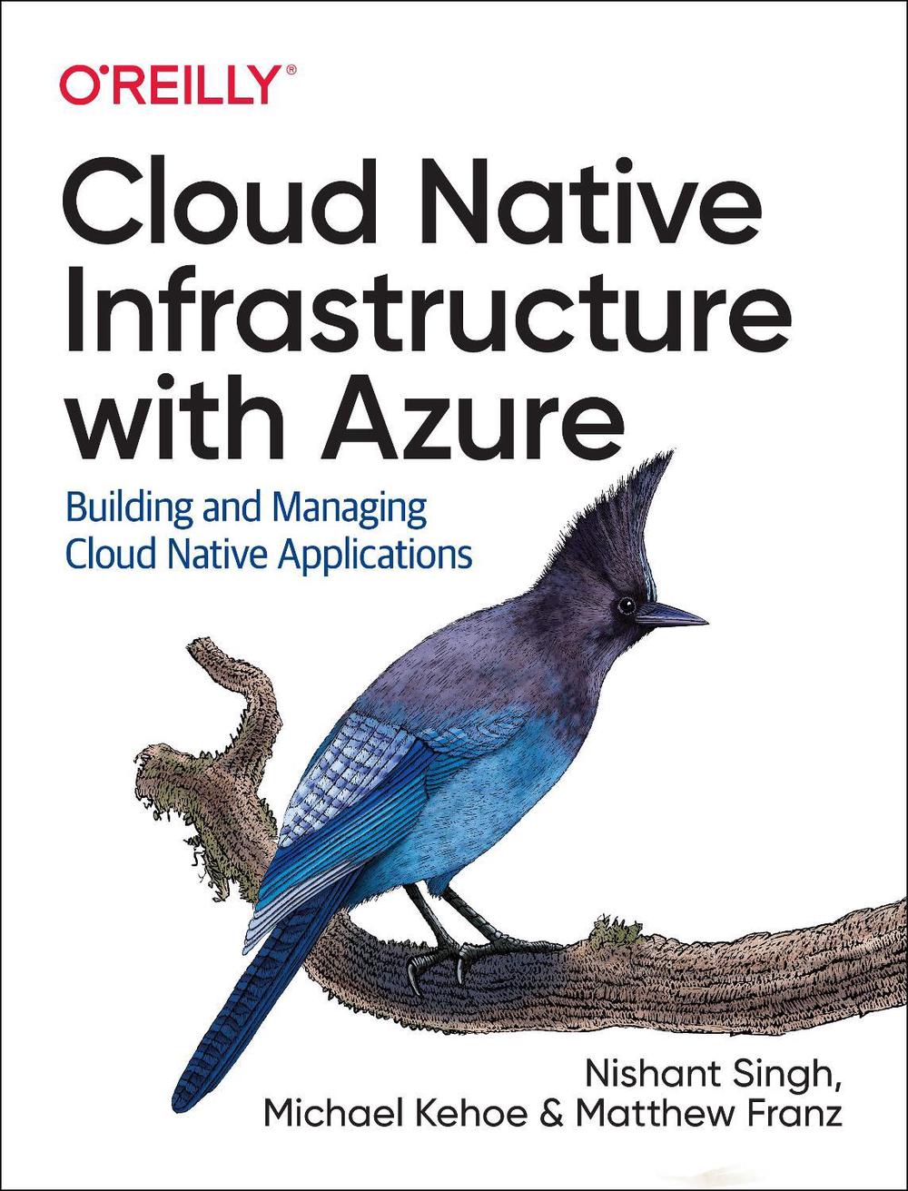 Cloud Native Infrastructure with Azure, 9781492090960