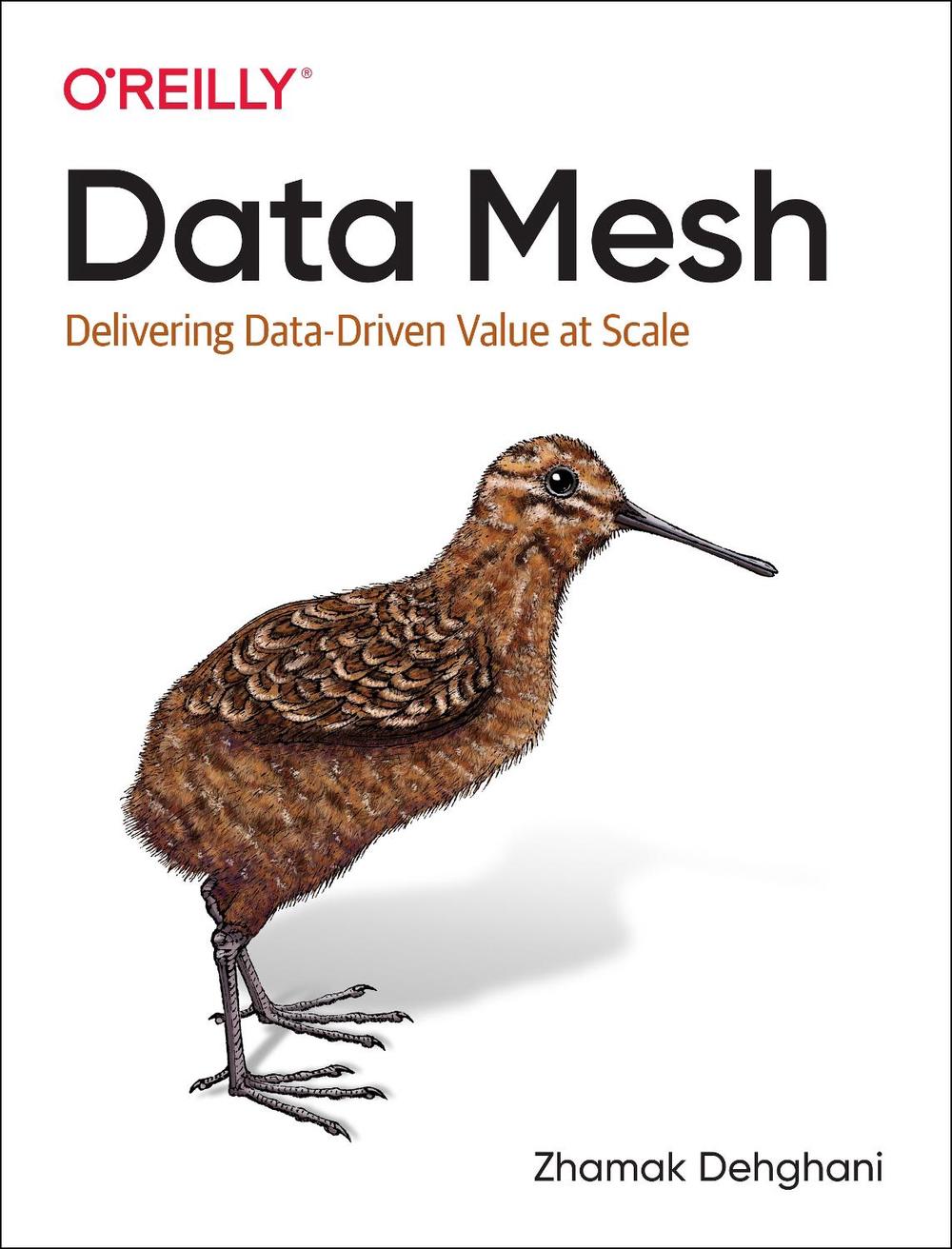 Data Mesh, 9781492092391