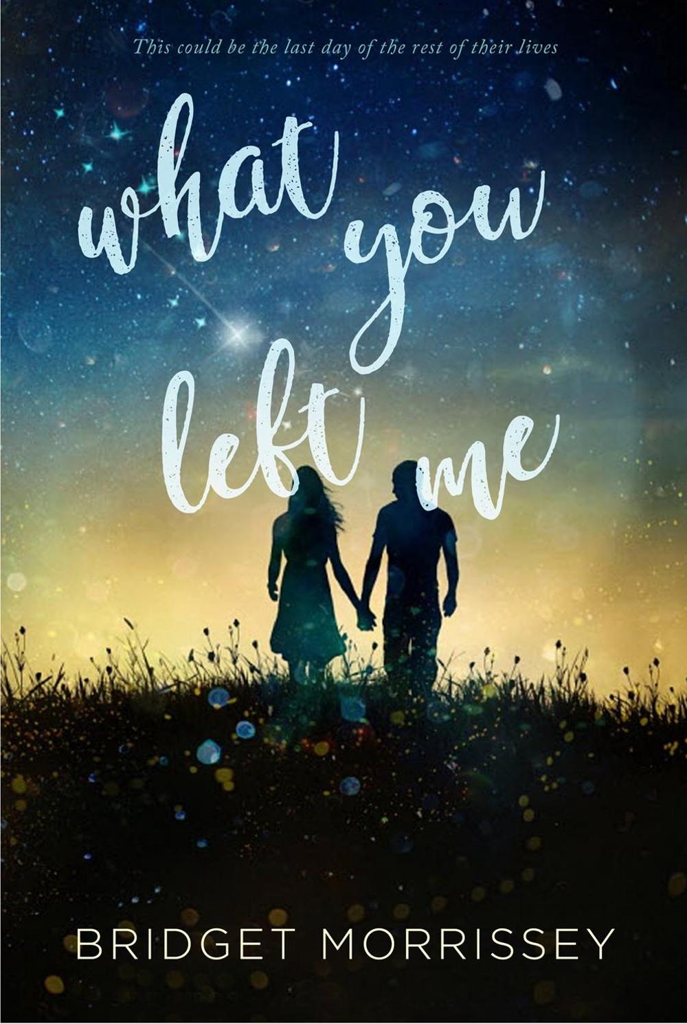 What You Left Me by Bridget Morrissey - ISBN: 9781492655510
